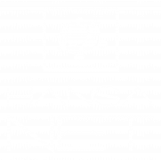 cropped-hansanet-white.png